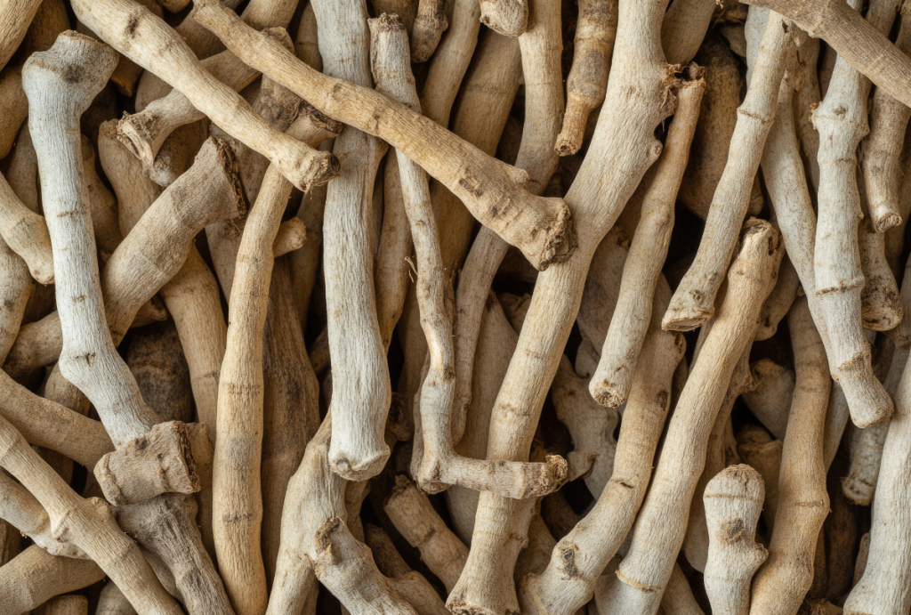Ashwagandha en piensos – Extracto vegetal funcional para mejorar salud y rendimiento animal