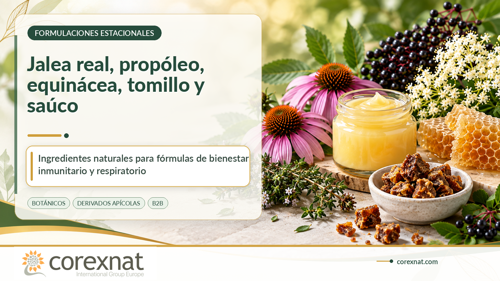 Cinco ingredientes naturales para la temporada de otoño e invierno