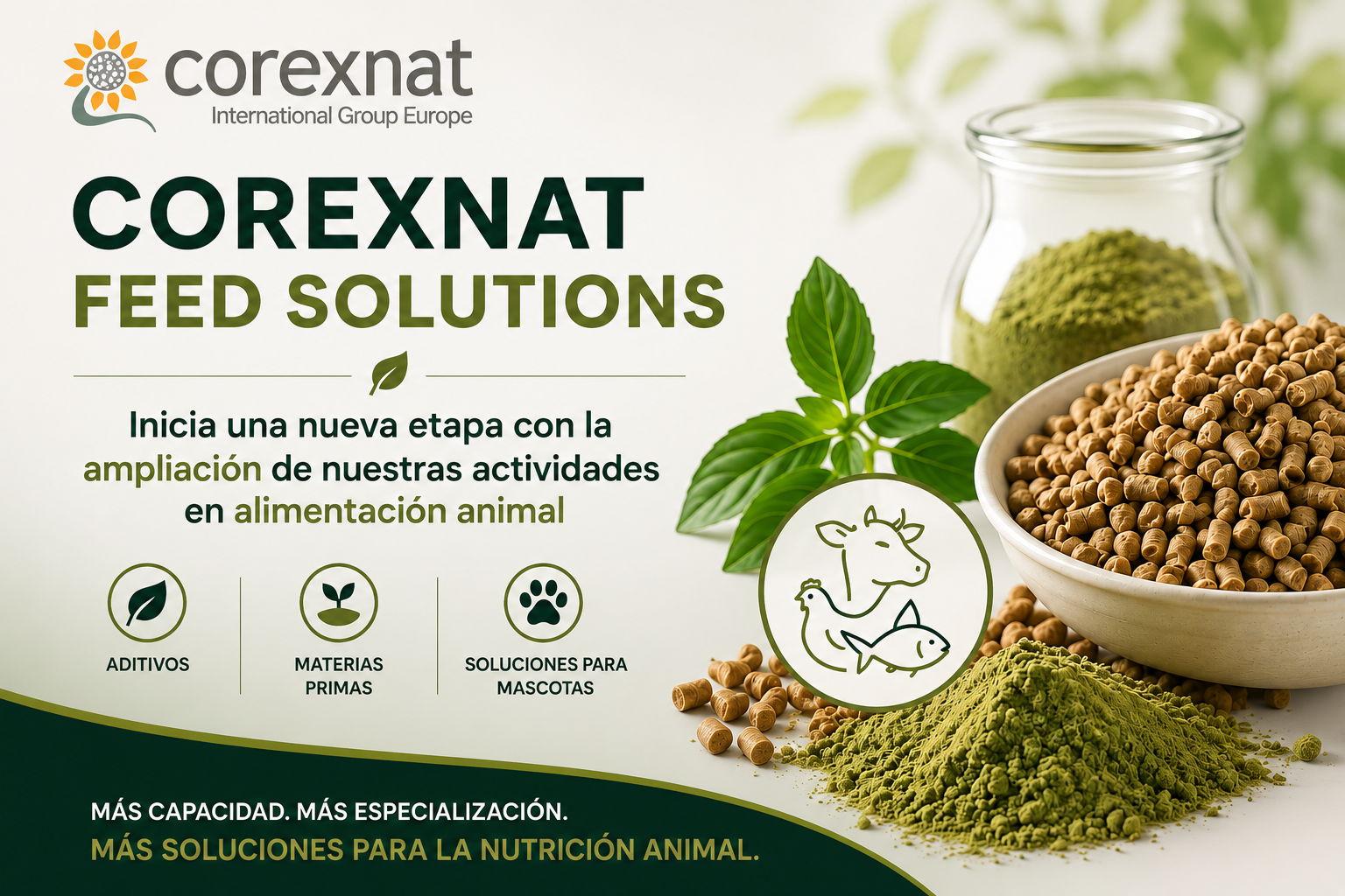 corexnat-feed-solutions
